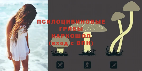 первитин Горнозаводск
