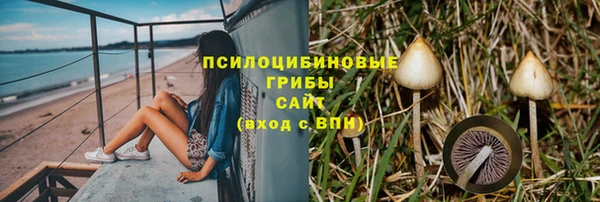 первитин Горнозаводск