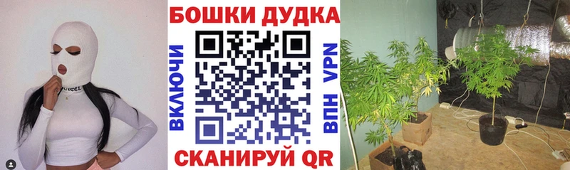 Каннабис индика  kraken маркетплейс  Опочка 